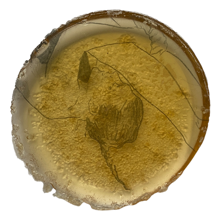 Надежда Воронцова (Объект - 
                  14 x 14 см) Желе 4