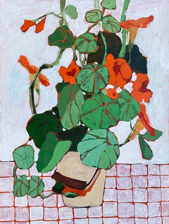 Анастасия Соловьева (Картина, живопись - 
                  30 x 40 см) Настурции