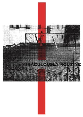 Оля Кройтор (Графика печатная - 
                  35 x 50 см) Из серии "Miraculously Routine"