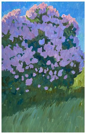 Алексей Кротов (Авторская графика - 
                  25 x 40 см) Сирень