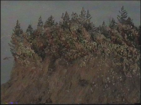 Денис Шулепов (Фотография - 
                  22.5 x 30 см) Денис Шулепов. Практика ностальгии V. 22,5x30