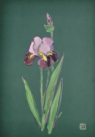 Елена Санина (Авторская графика - 
                  30 x 42 см) Ирис