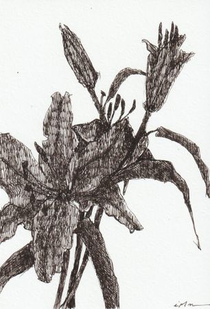 Виктория Зарецкая (embrassé par la muse) (Авторская графика - 
                  13 x 18.7 см) Lily 01