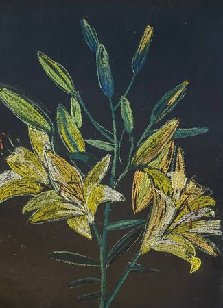 Алена Сокольникова (Авторская графика - 
                  29.5 x 40 см) Лилии