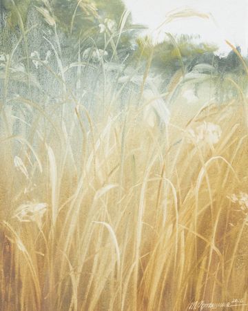 Татьяна Прокшина (Картина, живопись - 
                  40 x 50 см) Травы 260330