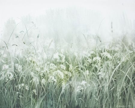 Татьяна Прокшина (Картина, живопись - 
                  100 x 80 см) Белые зонтики