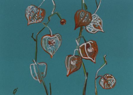 Елена Санина (Авторская графика - 
                  24 x 17 см) Загадки