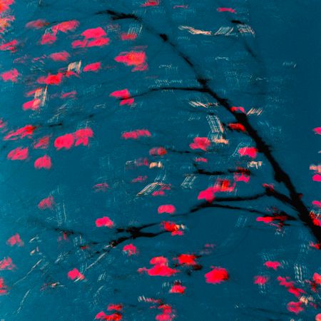 Ольга Ширяева (Фотография - 
                  50 x 50 см) Переход №2