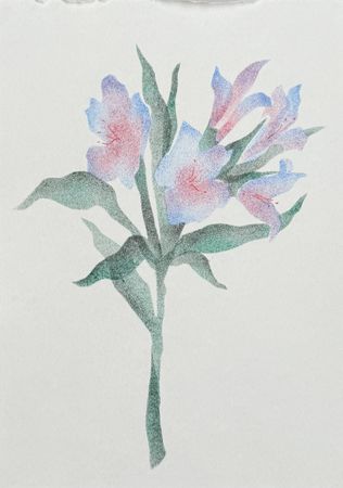 Виктория Зарецкая (embrassé par la muse) (Авторская графика - 
                  14.8 x 20.8 см) Перуанская лилия 01