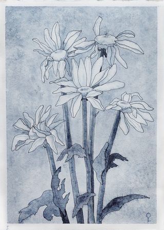 Оливия Лем (Авторская графика - 
                  35 x 50 см) Декаданс