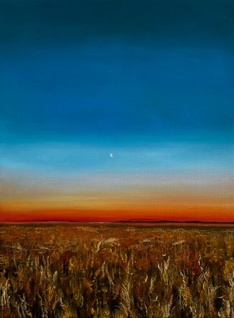 Маргарита Басалей (Картина, живопись - 
                  30 x 40 см) Поле цветов
