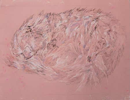 Саша Медведева (Авторская графика - 
                  65 x 50 см) Кот, живущий в горах Кавказа, которого нам довелось встретить на каникулах