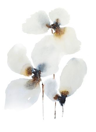 Тани Соул (Авторская графика - 
                  19 x 27 см) Три оттенка безмолвия