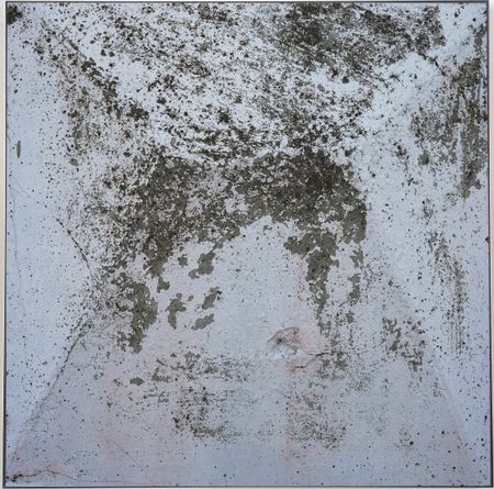 Игорь Поносов (Фотография - 
                  43 x 43 см) Из серии "Картография забора"