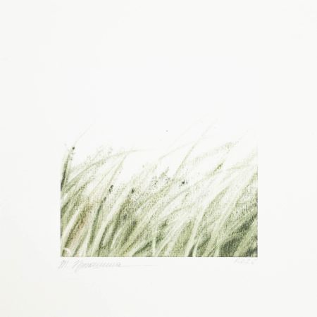 Татьяна Прокшина (Авторская графика - 
                  20 x 20 см) Серо-зелёный (этюд)