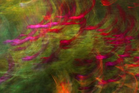 Татьяна Сенчило (Фотография - 
                  100 x 70 см) Из серии "Исчезнуть, замолчать, услышать"