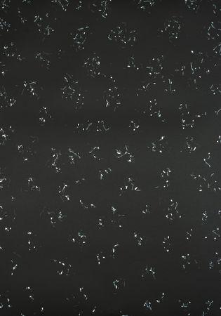 Диалет Шагой (Авторская графика - 
                  70 x 100 см) Без названия