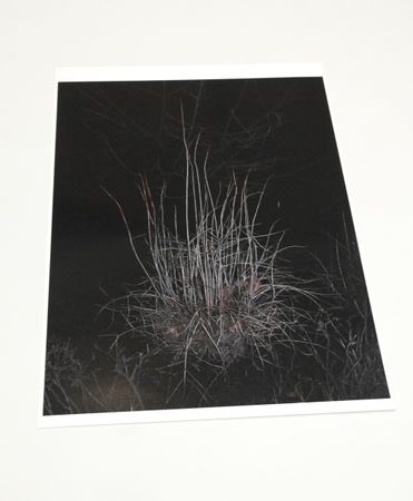 Александр Бондарь (Фотография - 
                  29 x 36 см) Untitled