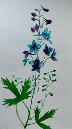 Алена Сокольникова (Авторская графика - 
                  19.5 x 35.5 см) Полевые цветы. Абхазия