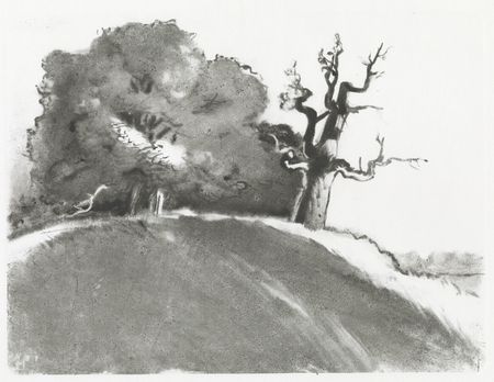 Евгения Крутова (Графика печатная - 
                  48 x 38 см) Два дуба