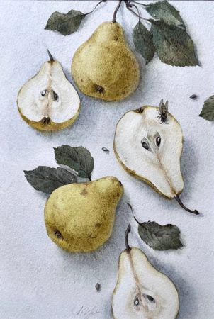 Ангелина Иванова (Авторская графика - 
                  18 x 27 см) Груши и оса