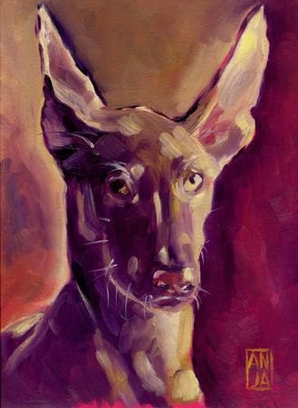 Анна Рудько (Авторская графика - 
                  23 x 30 см) Dog 5