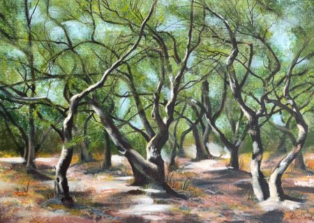 Kristina Ptiza (Картина, живопись - 
                  70 x 50 см) Оливы