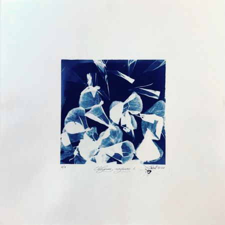 Юлия Милякова (Графика печатная - 
                  30 x 30 см) Свободное падение 1. Серия "Цветы"