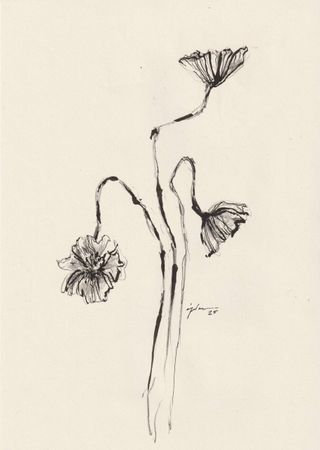 Виктория Зарецкая (embrassé par la muse) (Авторская графика - 
                  21 x 29.7 см) Fleur 08