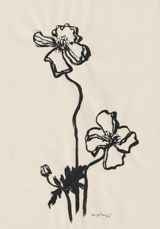 Виктория Зарецкая (Авторская графика - 
                  21 x 29.7 см) Encre et fleurs 03