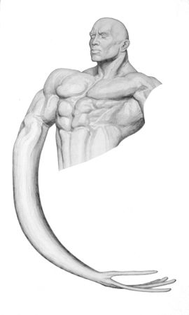 Дмитрий Ляшенко (Авторская графика - 
                  47 x 80 см) Bodybuilderobjmtlstl