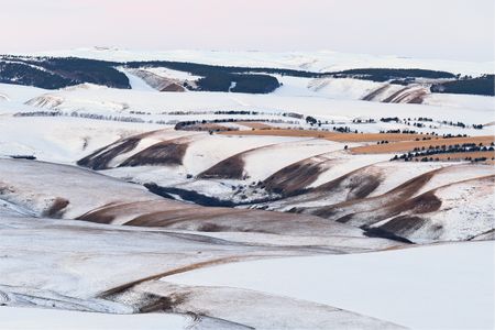 Дмитрий Фоменко (Фотография - 
                  61 x 41 см) Джаз