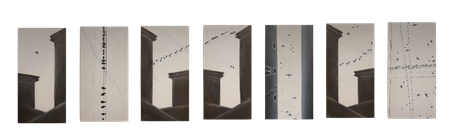 Ольга Шанина (Картина, живопись - 
                  350 x 100 см) Серия работ "TIMEFLIES”