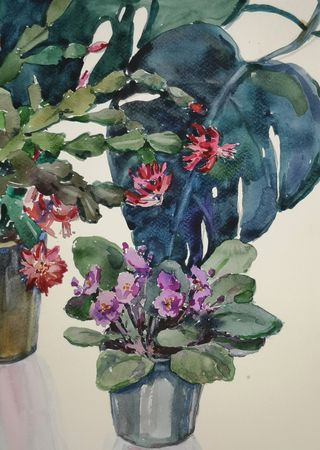 Елена Санина (Авторская графика - 
                  24 x 36 см) На окне