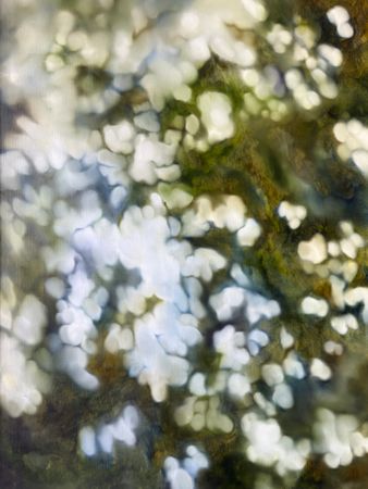 Инна Сумина (Картина, живопись - 
                  60 x 80 см) Далекие мечты