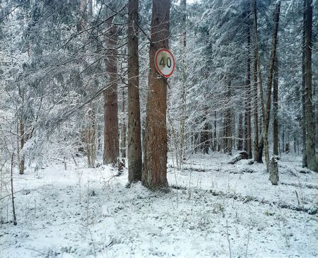 Евгений Гусаров (Фотография - 
                  40 x 50 см) Доказательства памяти IV