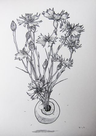 Александр Blot (Авторская графика - 
                  30 x 42 см) Дальнозоркость