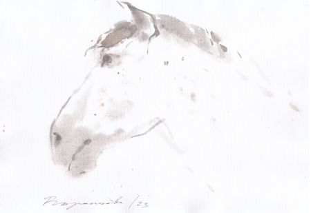 Надежда Воронцова (Авторская графика - 
                  30 x 20 см) Порыв ветра в гриве