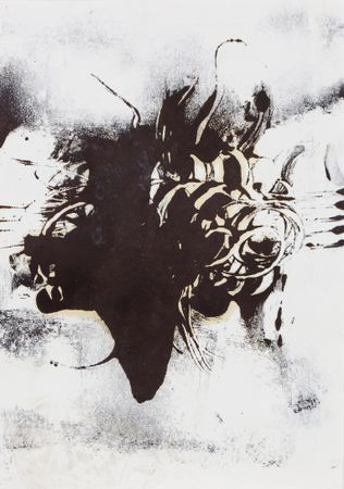 Дмитрий Василенко (Авторская графика - 
                  35 x 44 см) Рождение мира