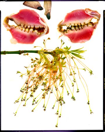 Пётр Корень (Фотография - 
                  126 x 157 см) Джироламо Савонарола/Girolamo Savonarola