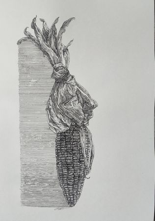 Наталия Рокотова (Авторская графика - 
                  30 x 40 см) Кукуруза