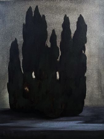 Катя Никитина (Картина, живопись - 
                  40 x 50 см) Кипарисы