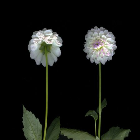 Катя Исаева (Фотография - 
                  30 x 30 см) Я с тобой разговариваю. Диалог 3