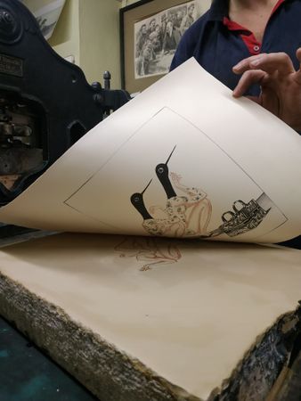 Наталья Лотарева (Графика печатная - 
                  35.5 x 47 см) "Редкие птицы" №14