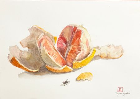 Мария Буртова (Авторская графика - 
                  40 x 30 см) Грейпфрут и муха