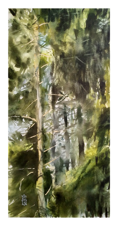 Александр Кормилицын (Авторская графика - 
                  21 x 42 см) Сквозь еловый лес