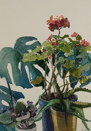 Елена Санина (Авторская графика - 
                  27 x 39 см) На окне #2