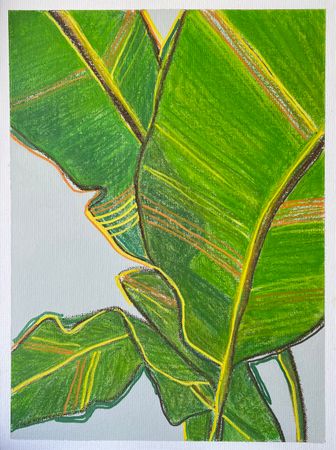 Инна Сумина (Авторская графика - 
                  30 x 40 см) Листья на солнце