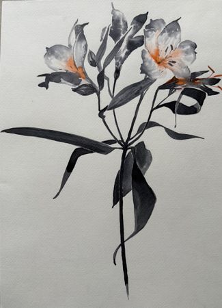 Алена Сокольникова (Авторская графика - 
                  29.5 x 42 см) Цветы на день рождения