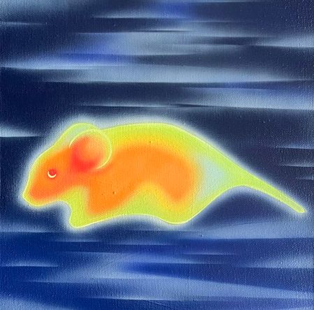 СВЕТ-ЛАНА (Картина, живопись - 
                  30 x 30 см) Опознанный летающий объект